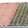 Travaux de nettoyage toiture 94 Val-de-Marne