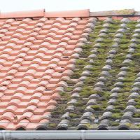 Réalisation travaux de nettoyage toiture 94