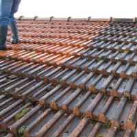 Réalisation travaux de nettoyage toiture 94
