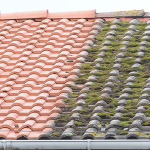 Réalisation travaux de nettoyage toiture 94